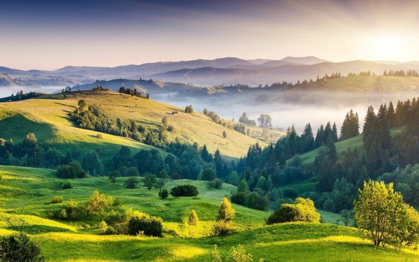 Bangalore - Mysore - Ooty - Kodaikanal - Coimbatore